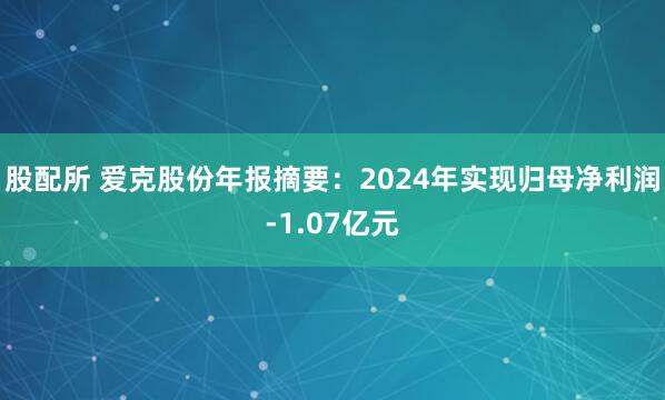 股配所 爱克股份年报摘要：2024年实现归母净利润-1.07亿元