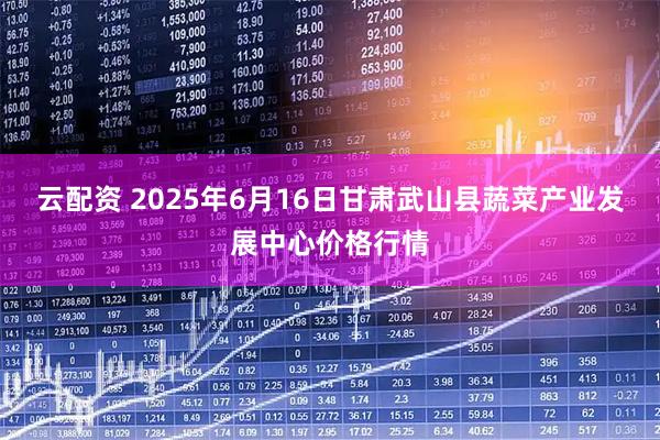 云配资 2025年6月16日甘肃武山县蔬菜产业发展中心价格行情