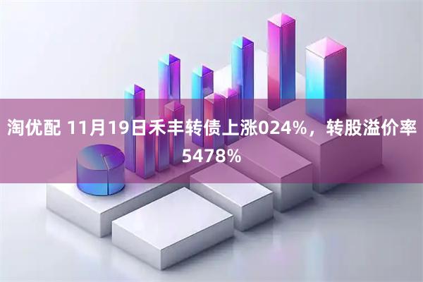 淘优配 11月19日禾丰转债上涨024%，转股溢价率5478%